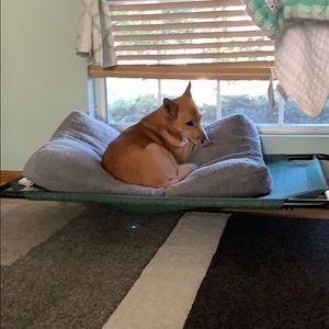 Meet your Posher, Casey